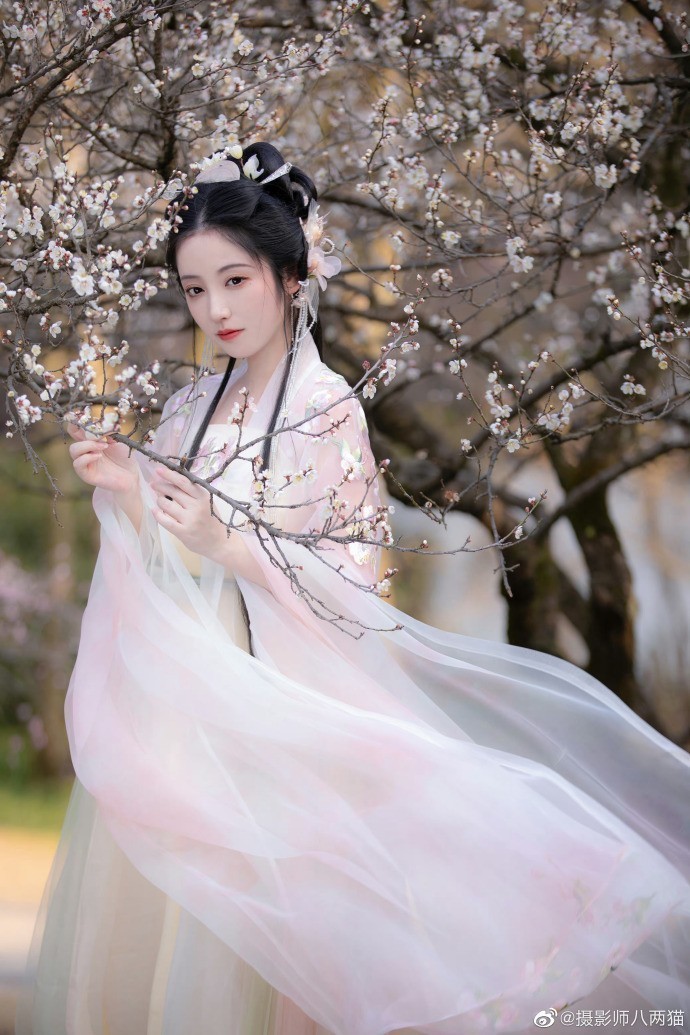七武士